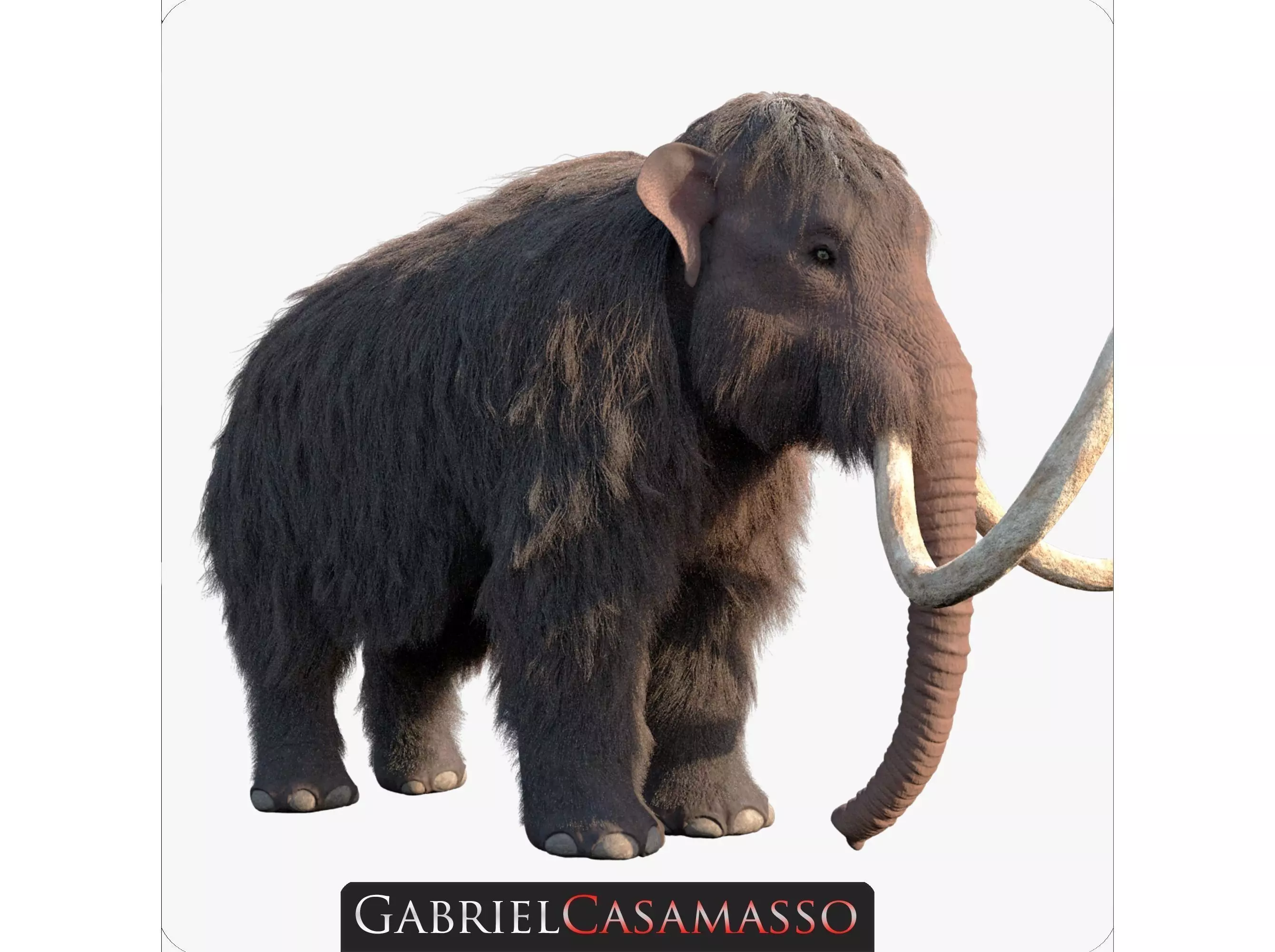Woolly Mammoth - Mammuthus primigenius 3D model_0
