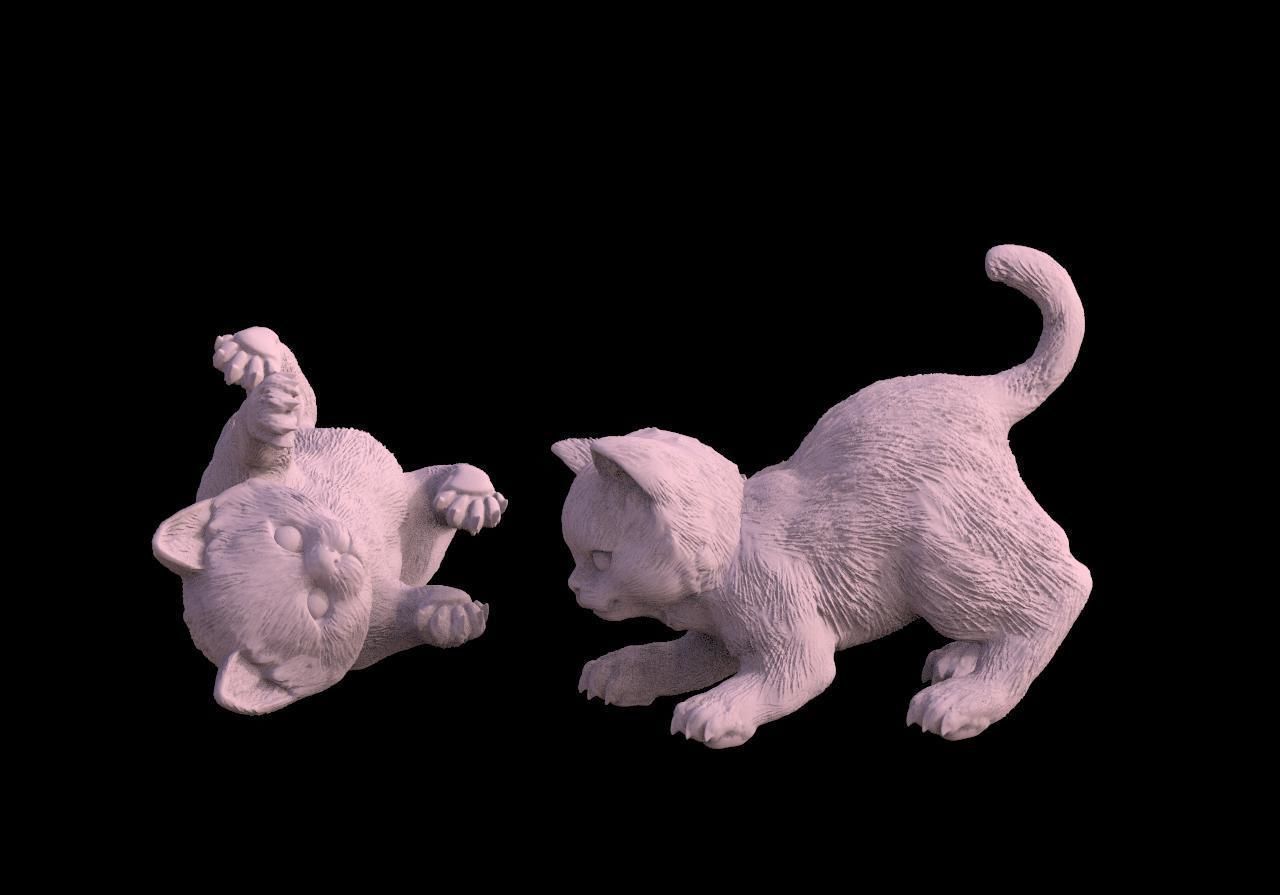 kitten cats animals  3D print model_1