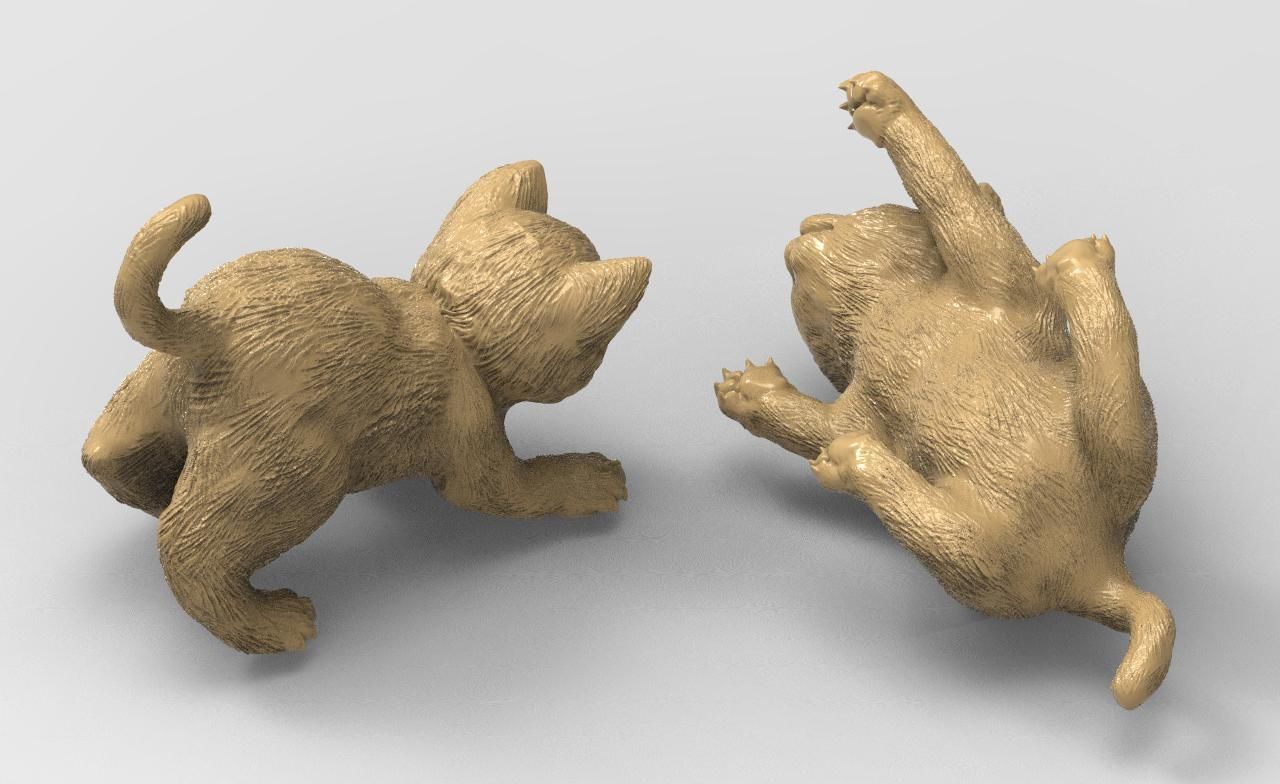 kitten cats animals  3D print model_2