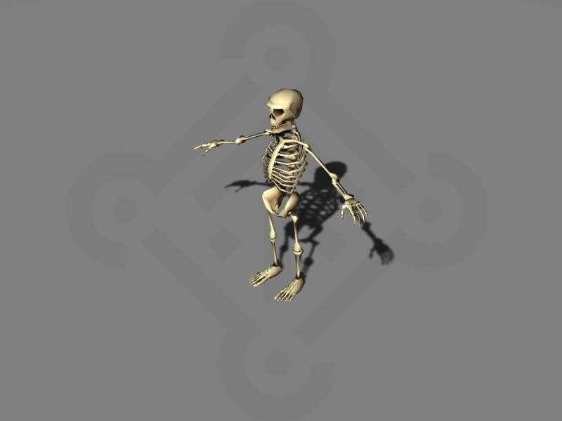 Skeleton rigged Low-poly 3D model_3