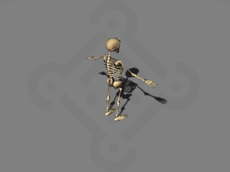 Skeleton rigged Low-poly 3D model_1