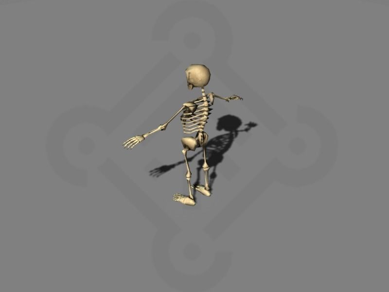 Skeleton rigged Low-poly 3D model_2