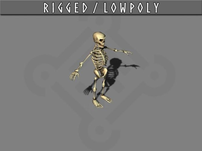 Skeleton rigged Low-poly 3D model