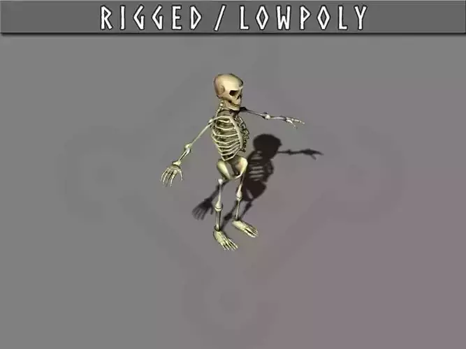 Skeleton rigged Low-poly 3D model