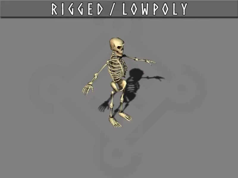 Skeleton rigged Low-poly 3D model_0