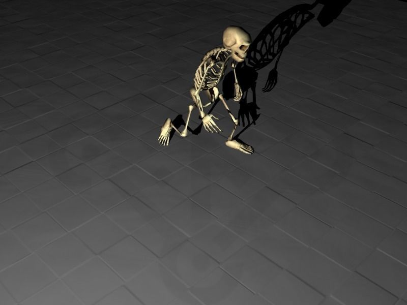 Skeleton rigged Low-poly 3D model_8