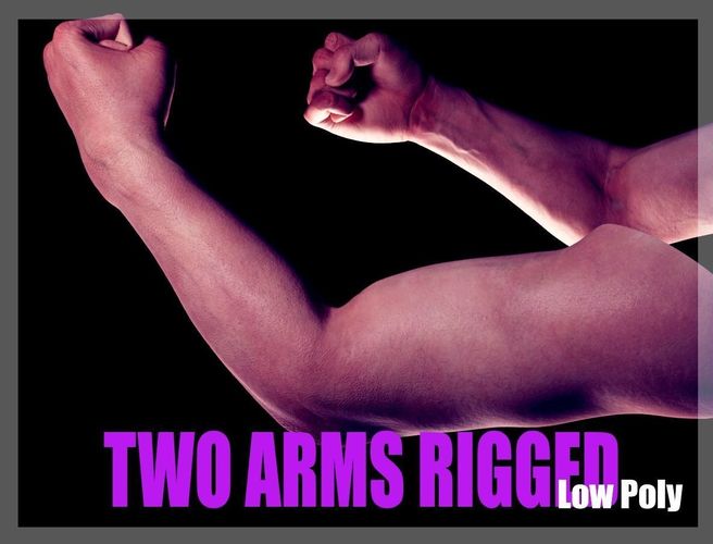 Two Arms Rigged Low-poly 3D model