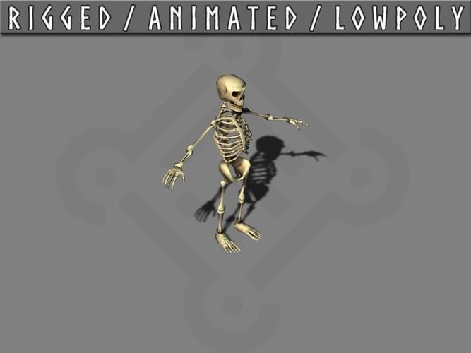 Skeleton animated Low-poly 3D model