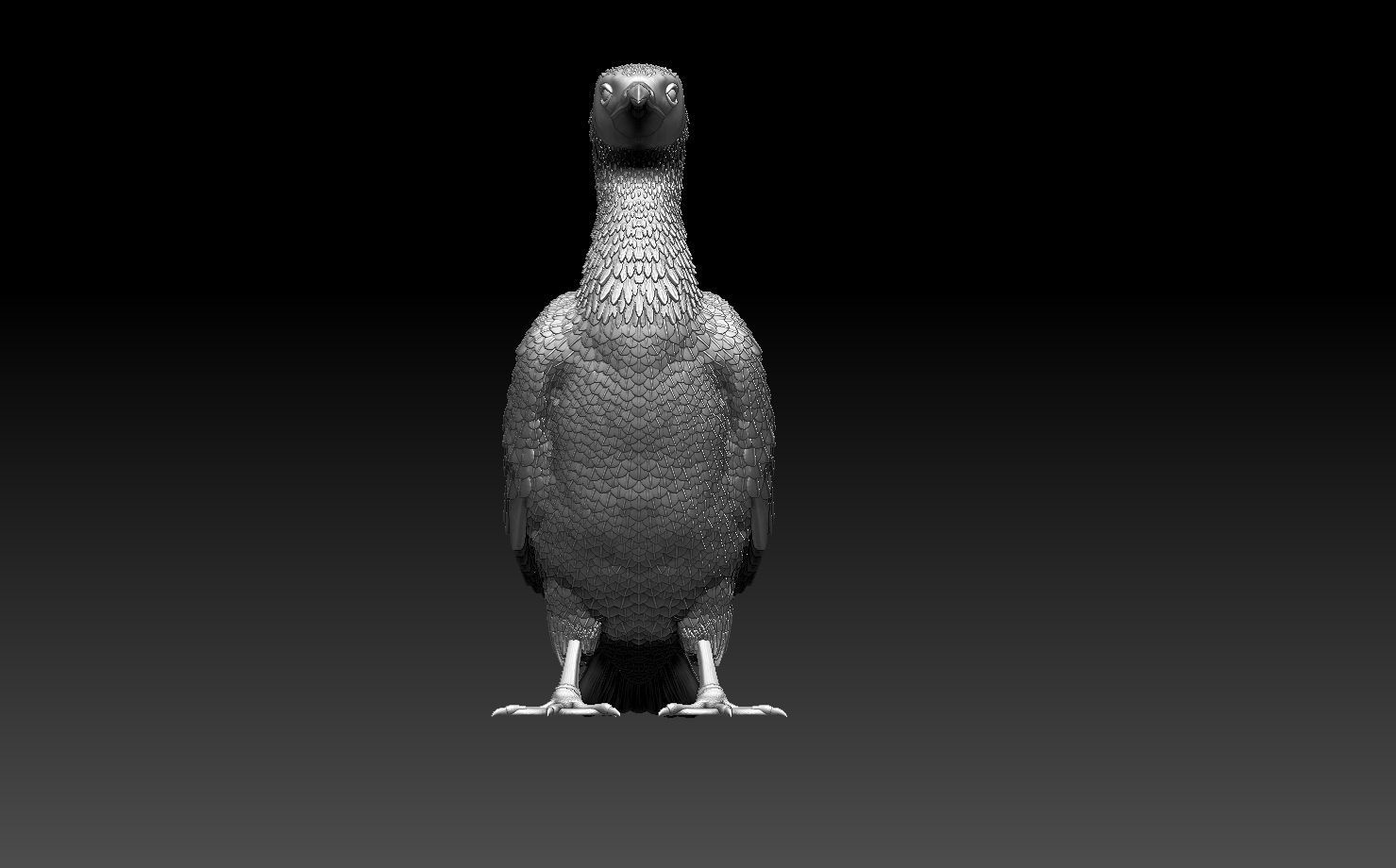 cormorant 3D print model_6