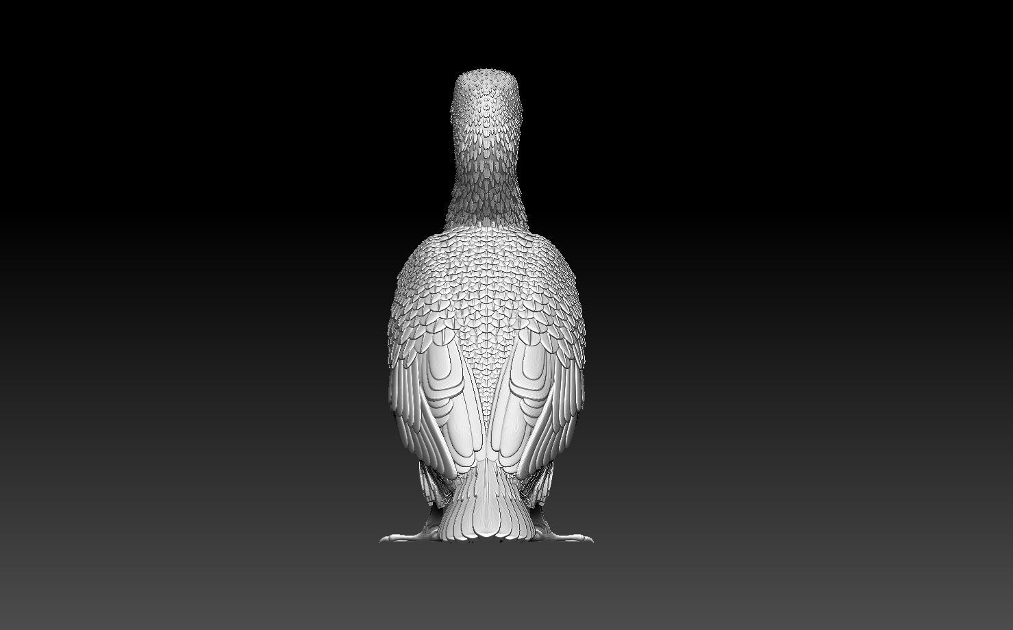 cormorant 3D print model_4