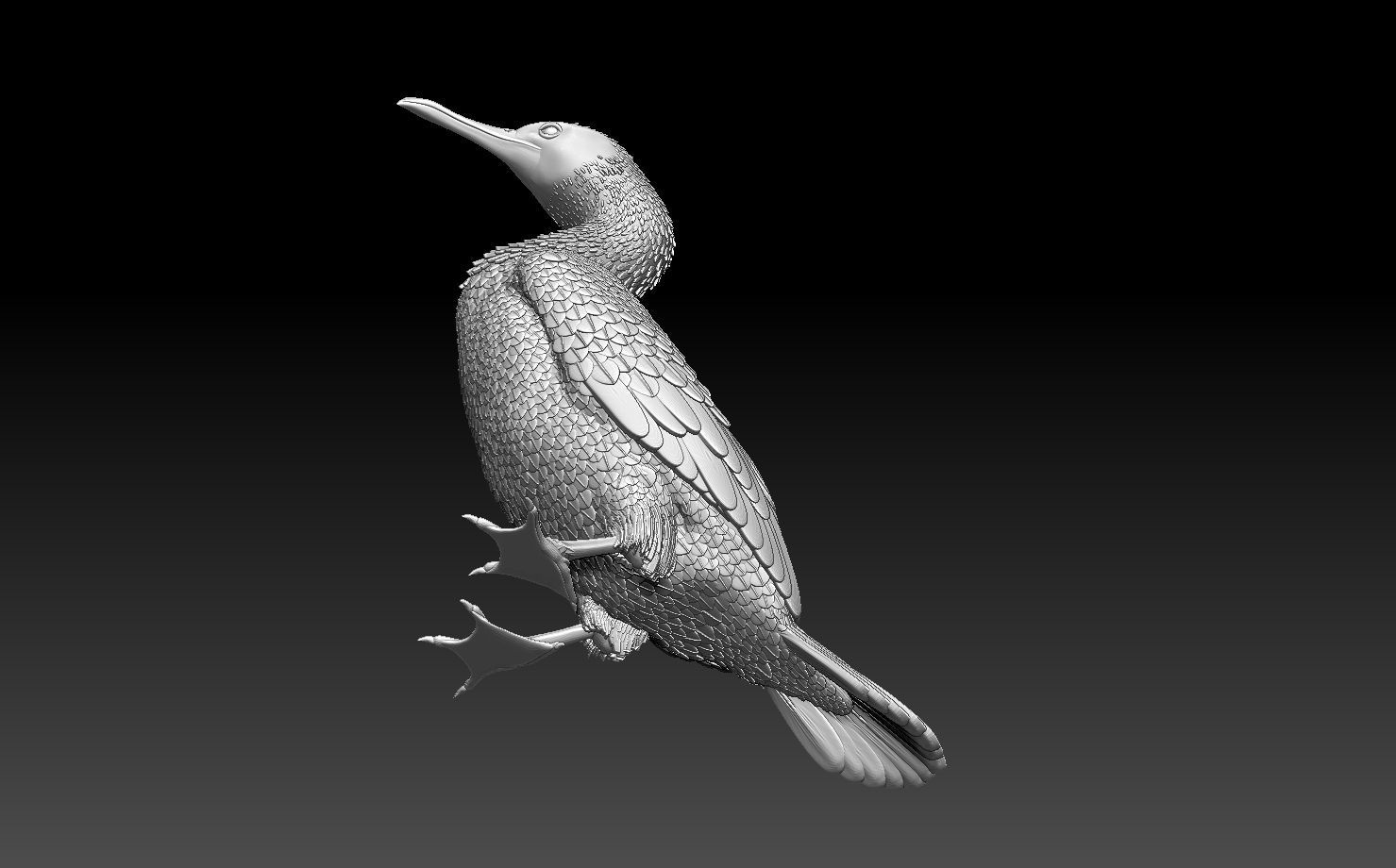 cormorant 3D print model_10