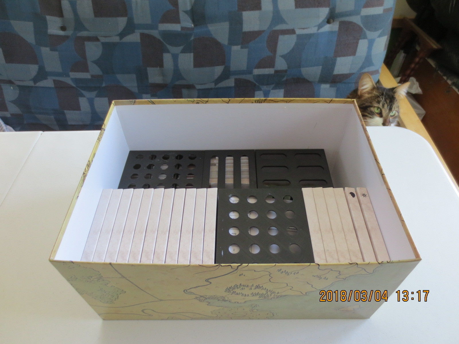 Gloomhaven Organizer 3D print model_6