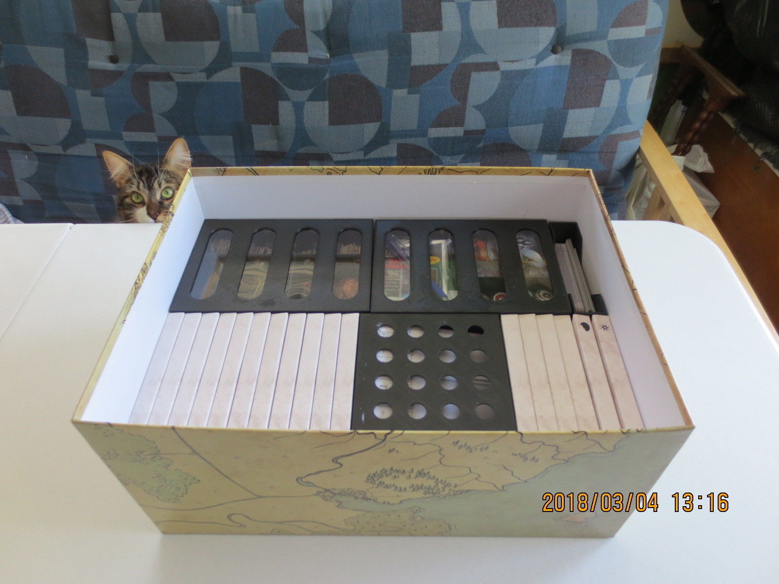 Gloomhaven Organizer 3D print model_10