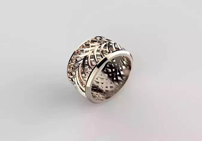 R-20 Ring 3D print model