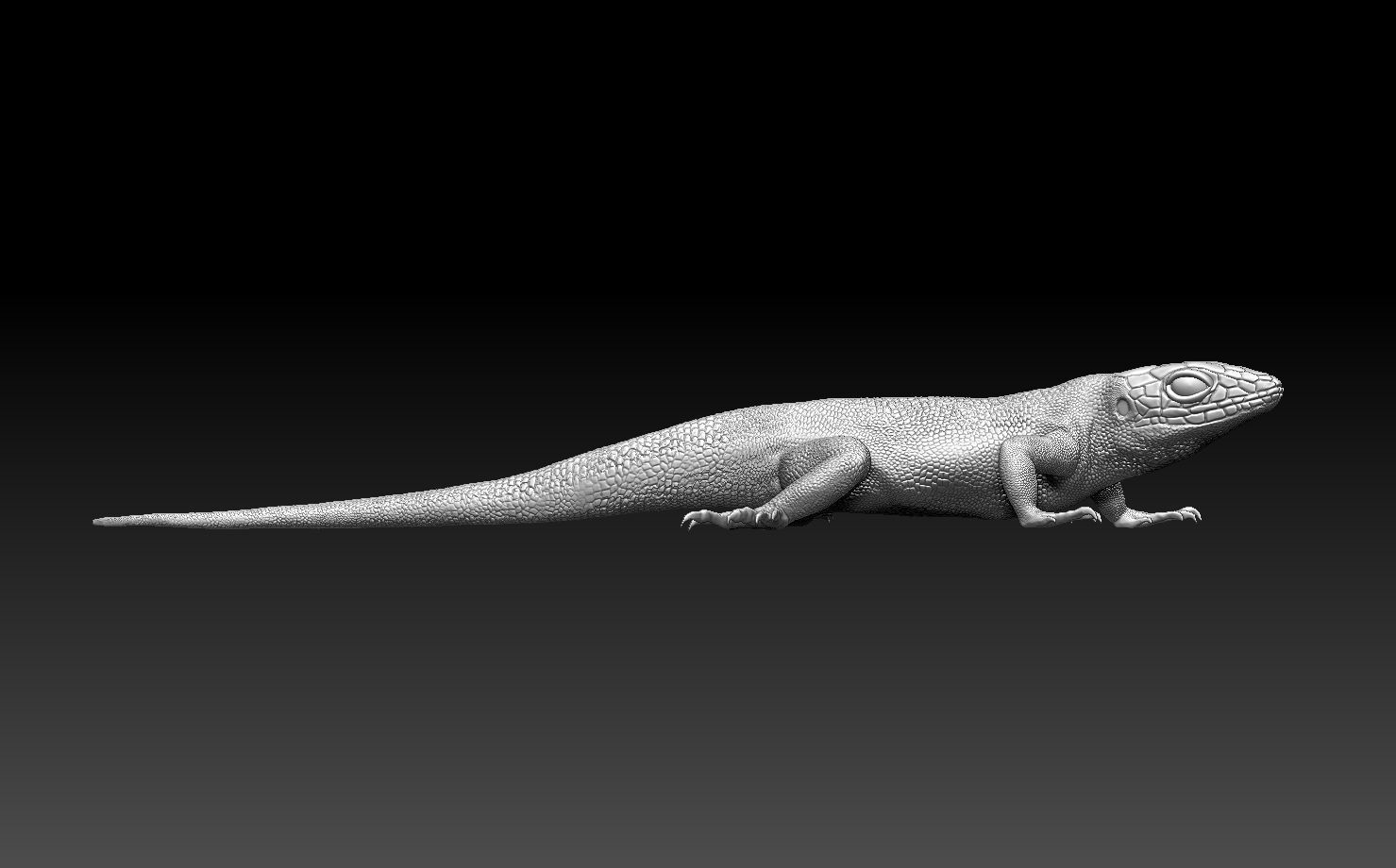 lizard 3D print model_8