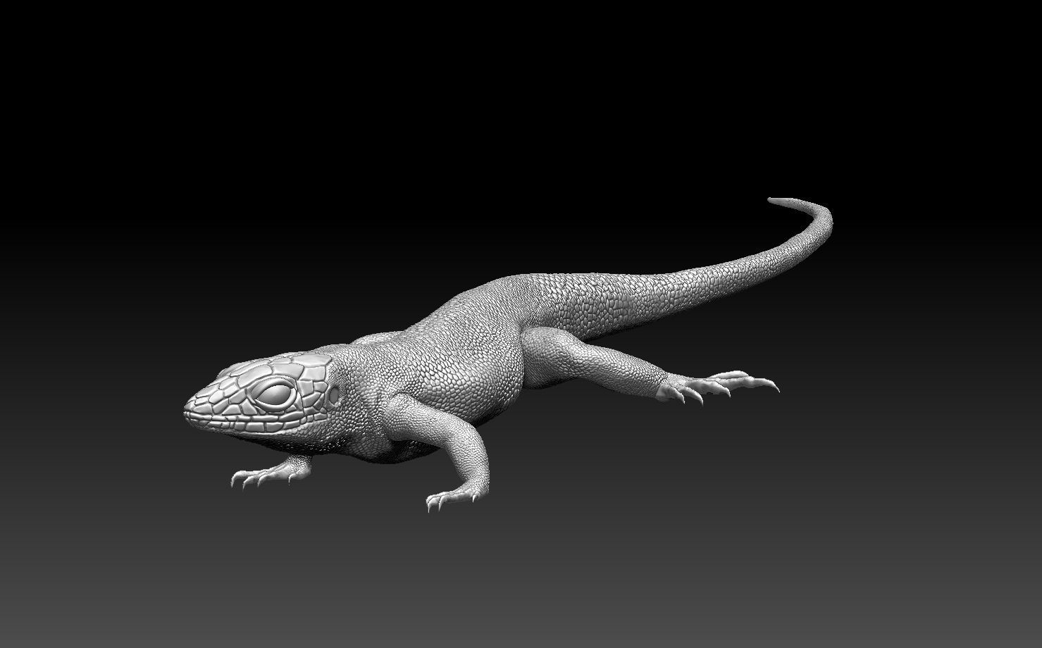 lizard 3D print model_10