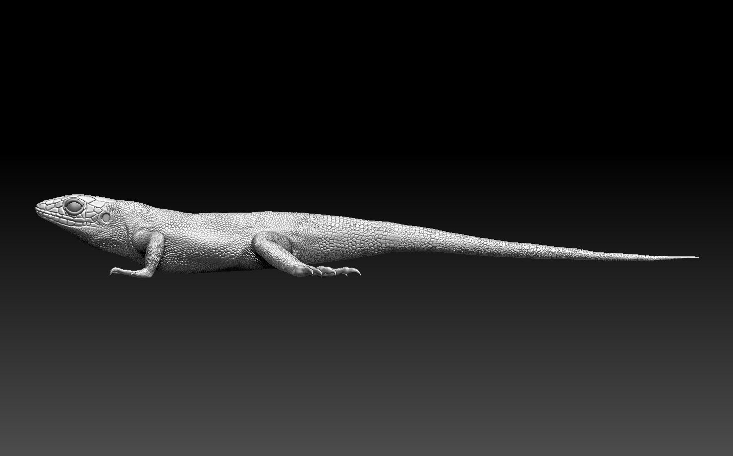 lizard 3D print model_5