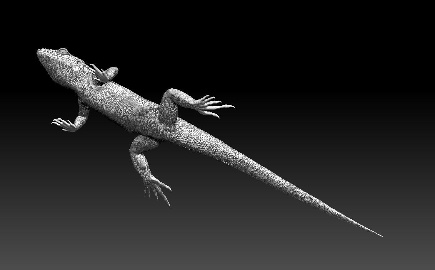 lizard 3D print model_4