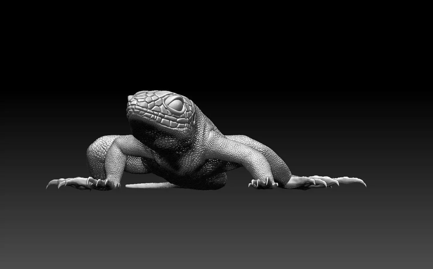 lizard 3D print model_0