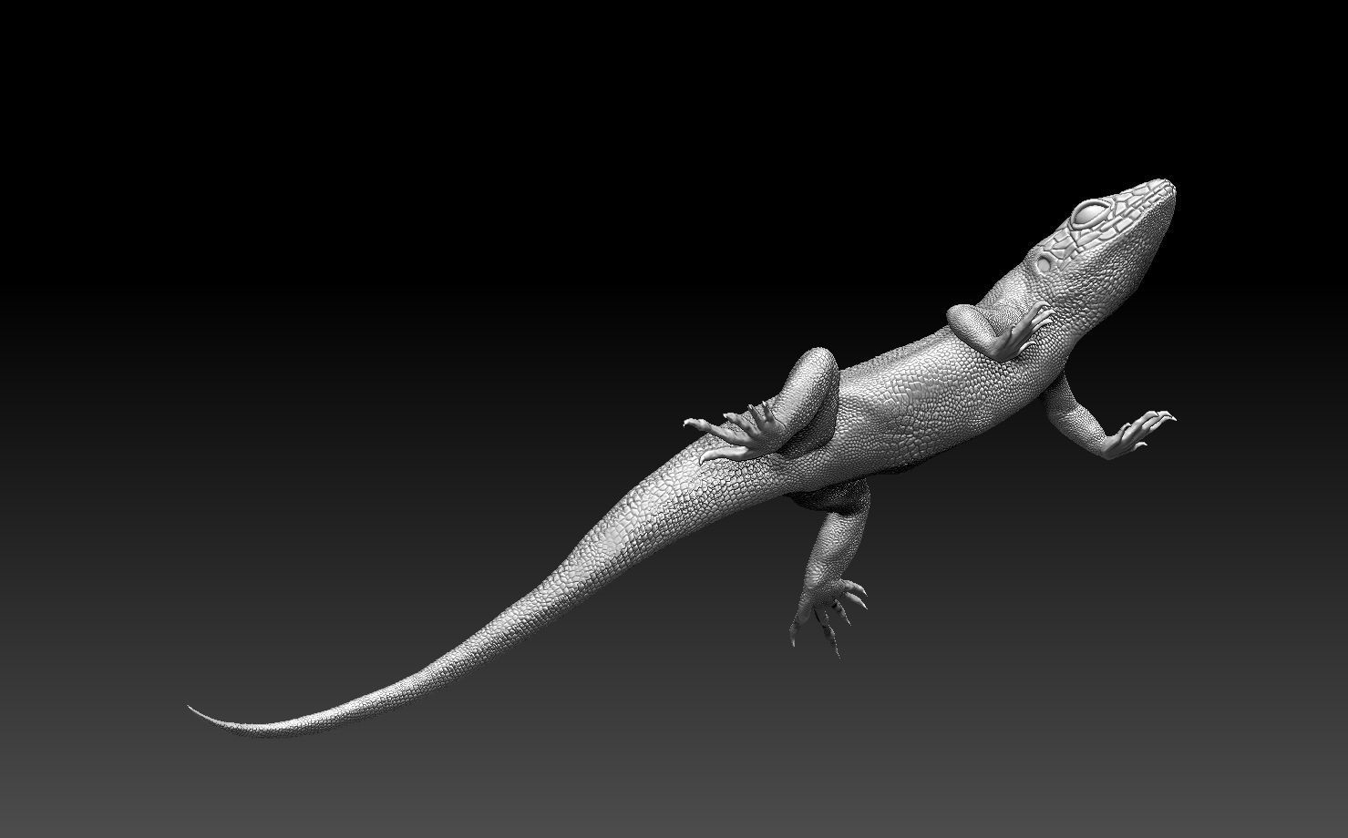 lizard 3D print model_14