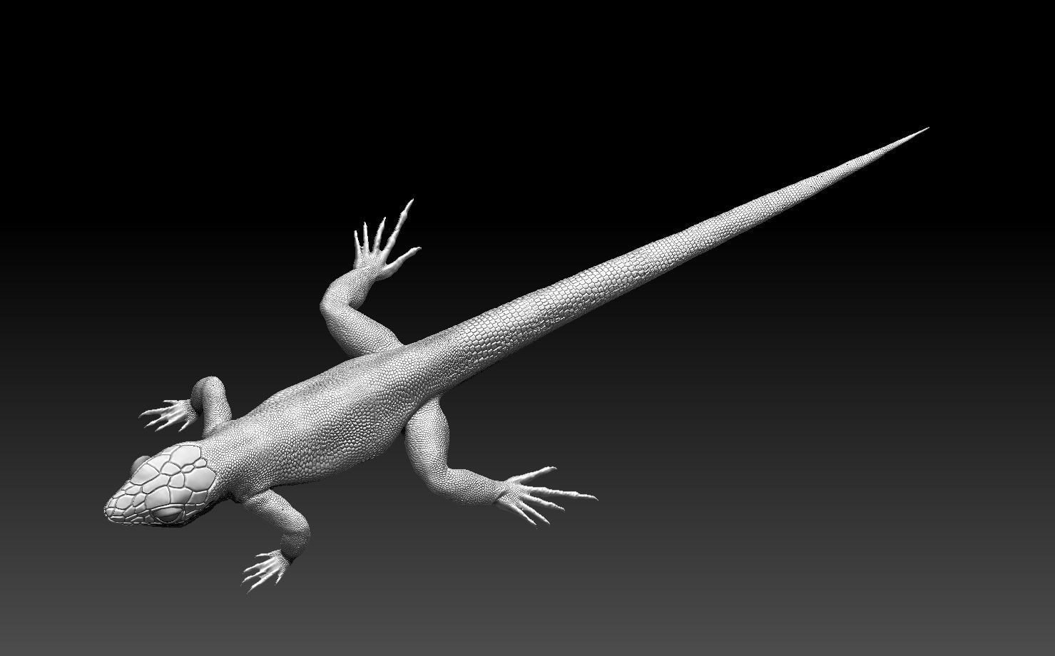 lizard 3D print model_6