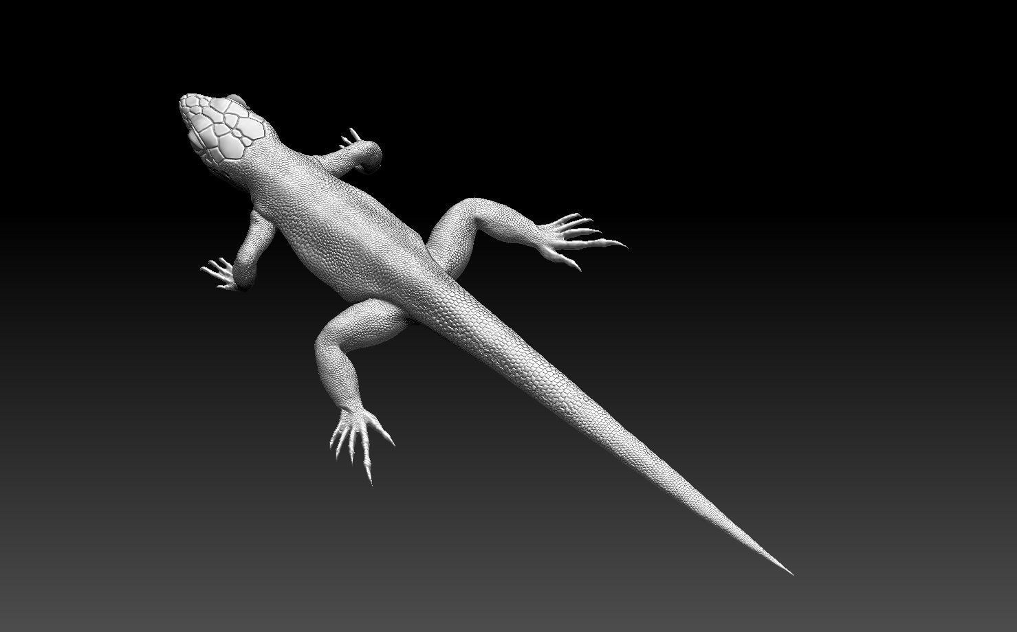 lizard 3D print model_3