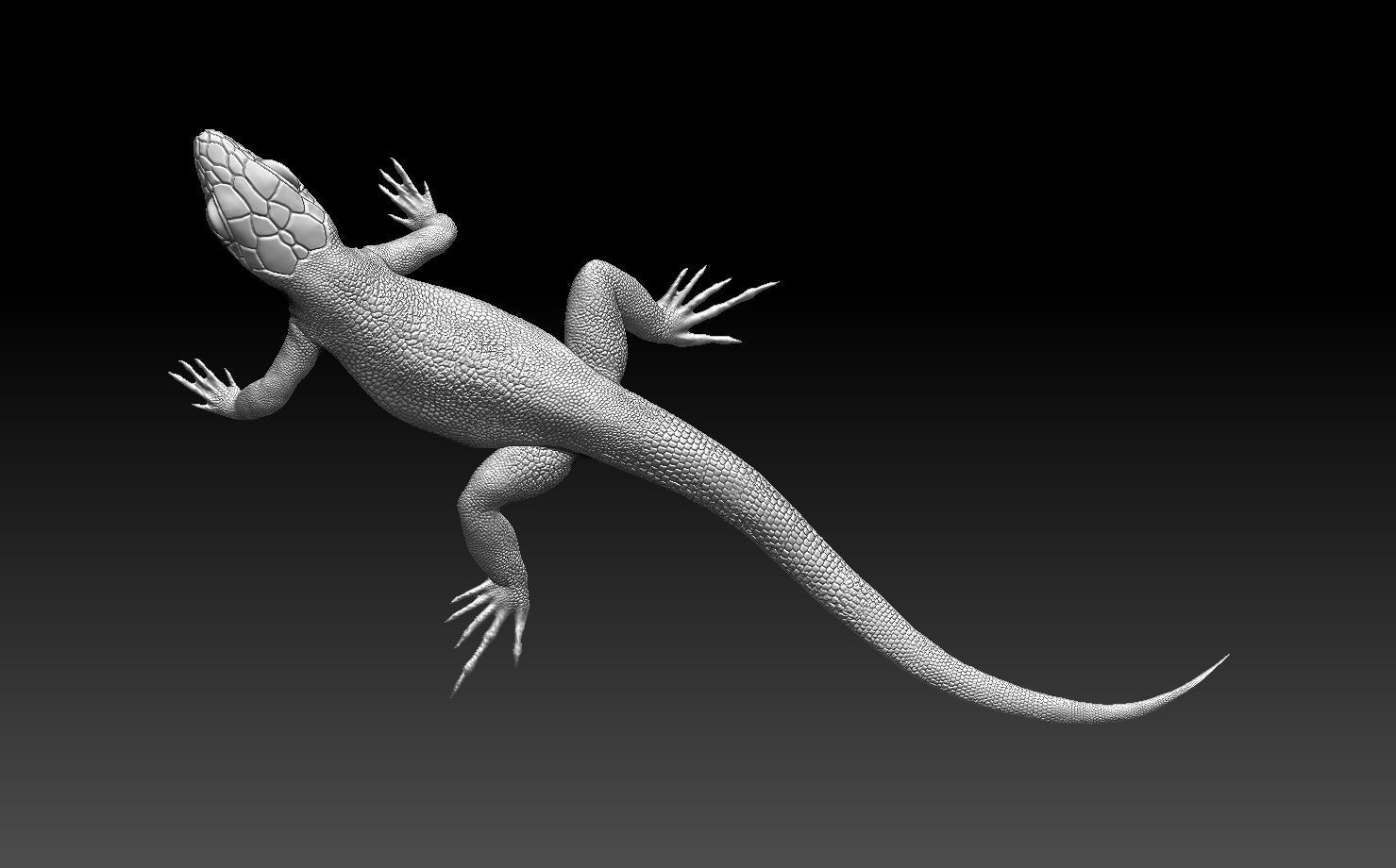 lizard 3D print model_2