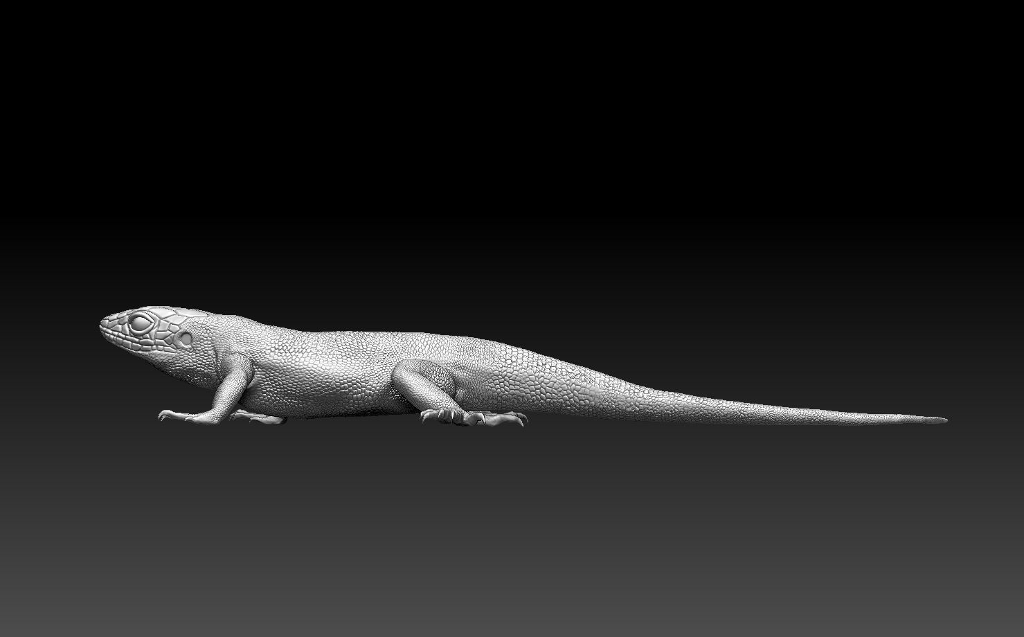 lizard 3D print model_13