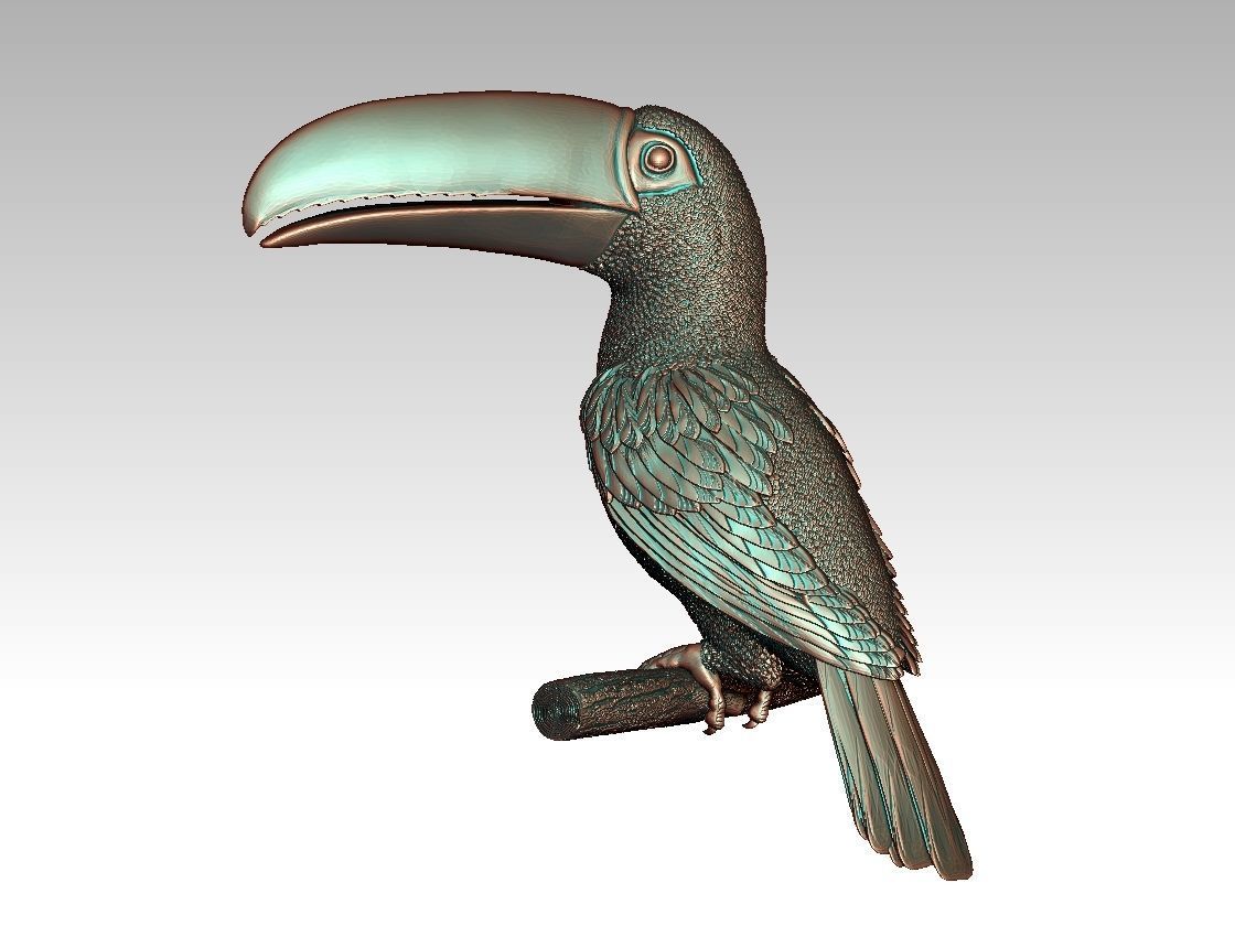 tucan toucan 3D print model_20