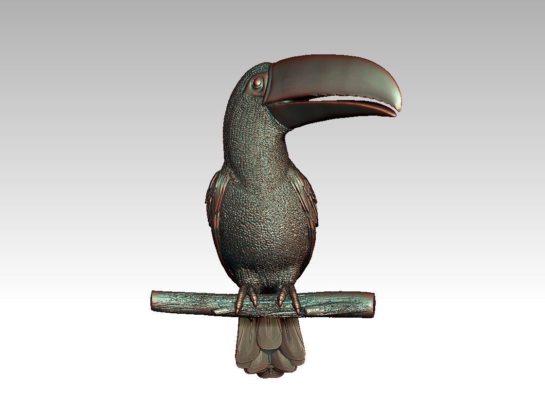 tucan toucan 3D print model_25