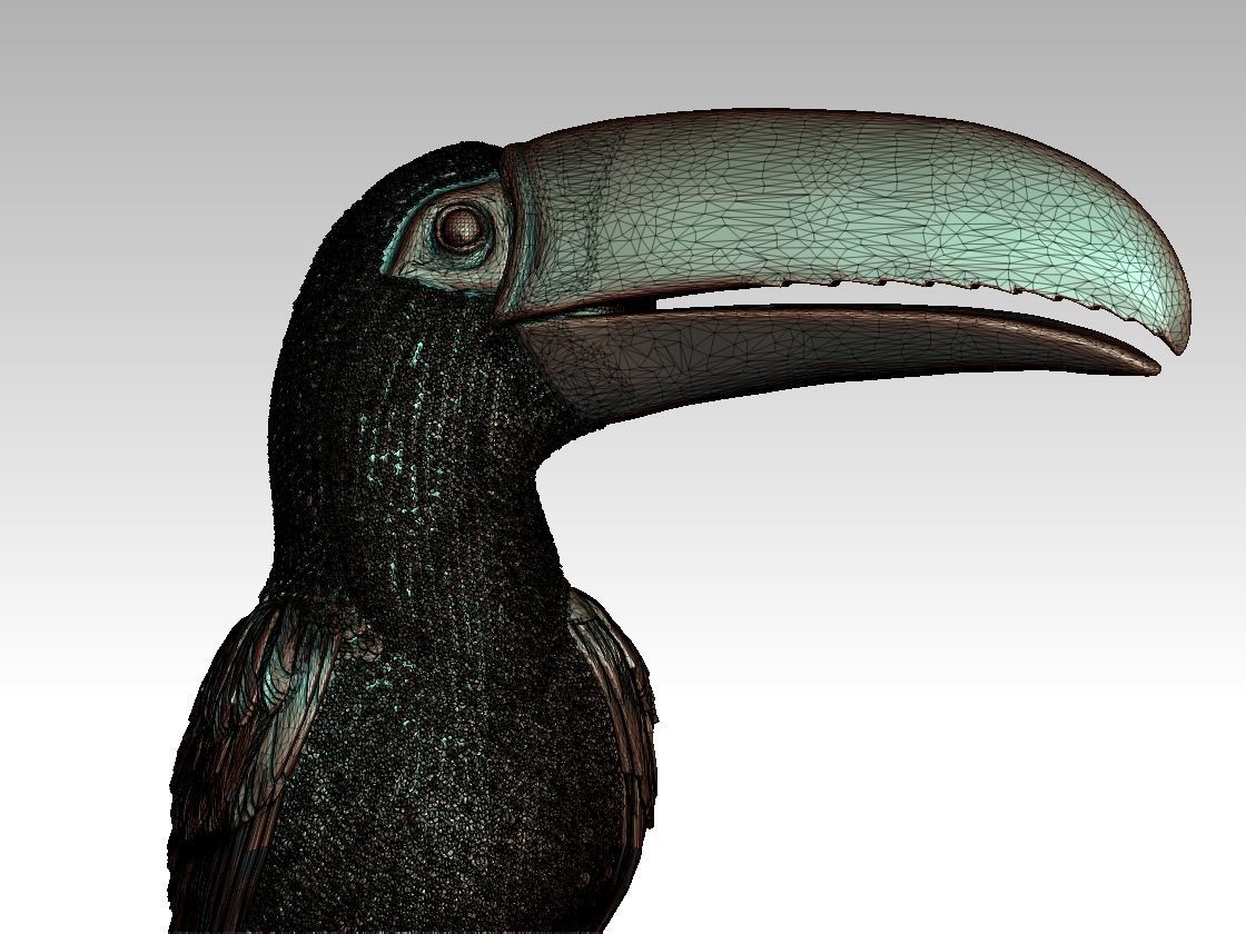 tucan toucan 3D print model_24