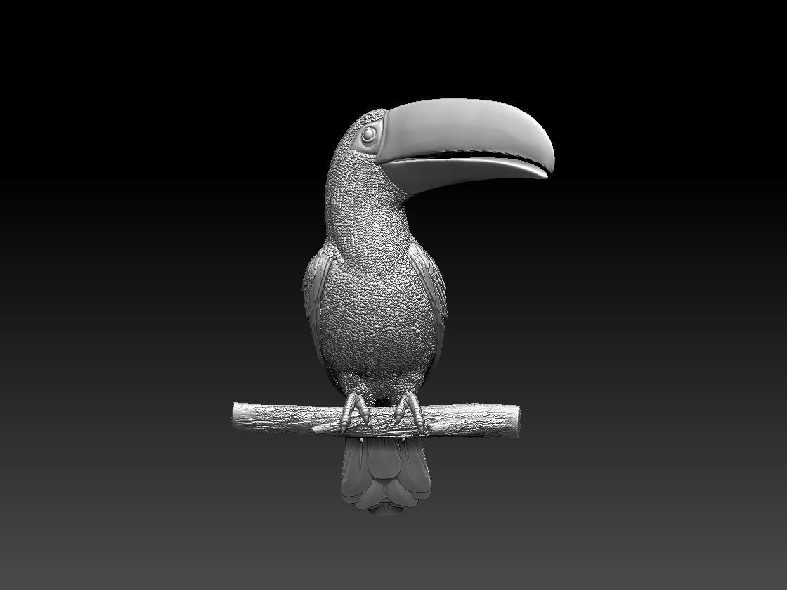 tucan toucan 3D print model_22