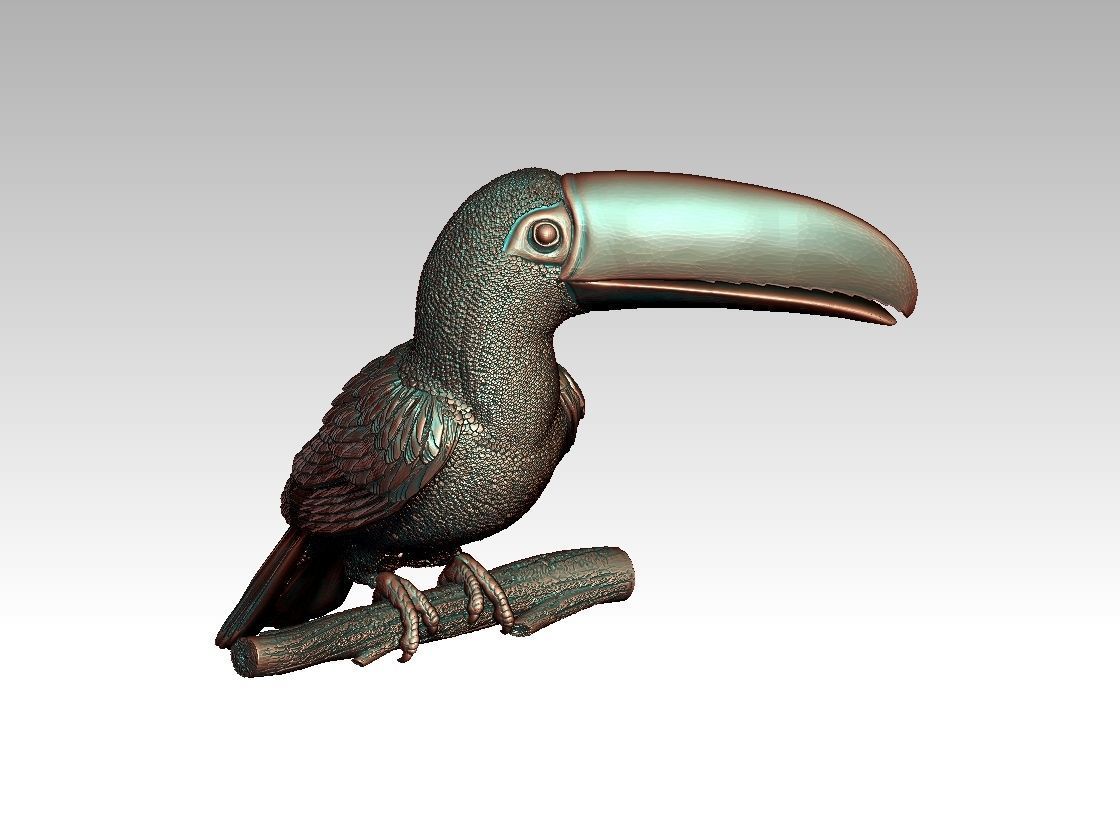 tucan toucan 3D print model_14