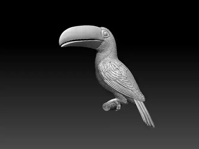 tucan toucan 3D print model