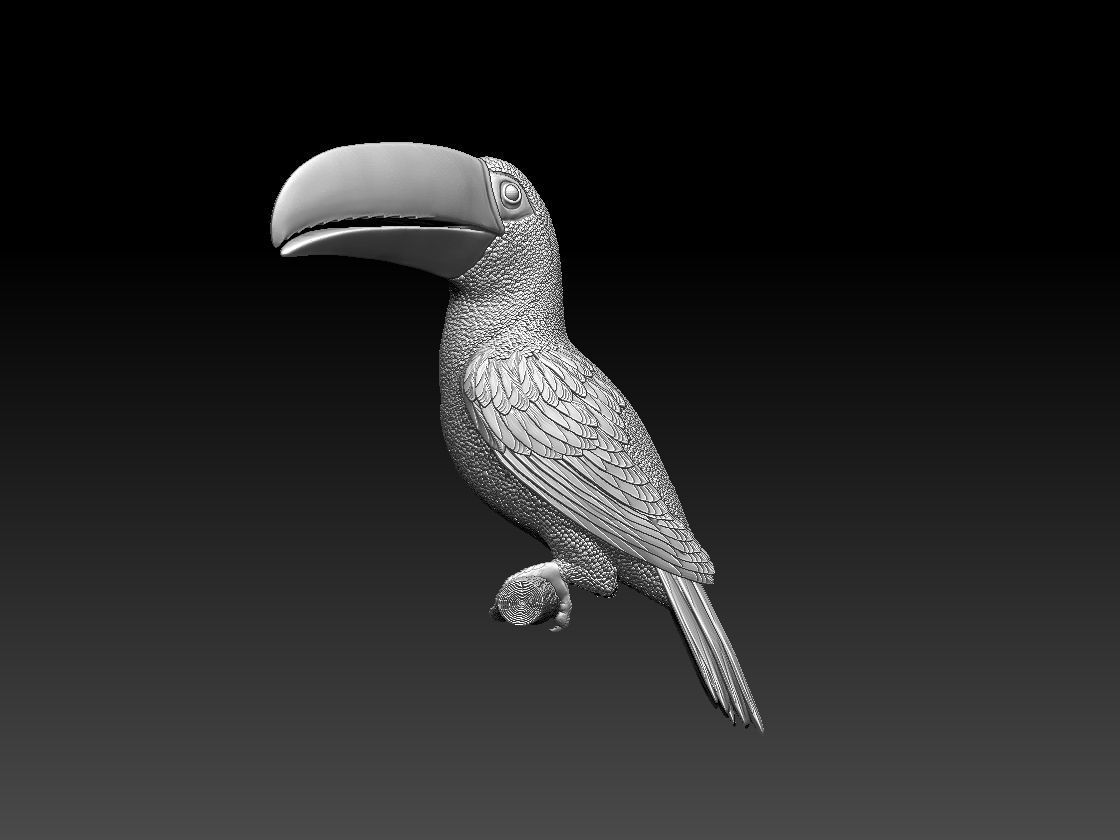 tucan toucan 3D print model_12