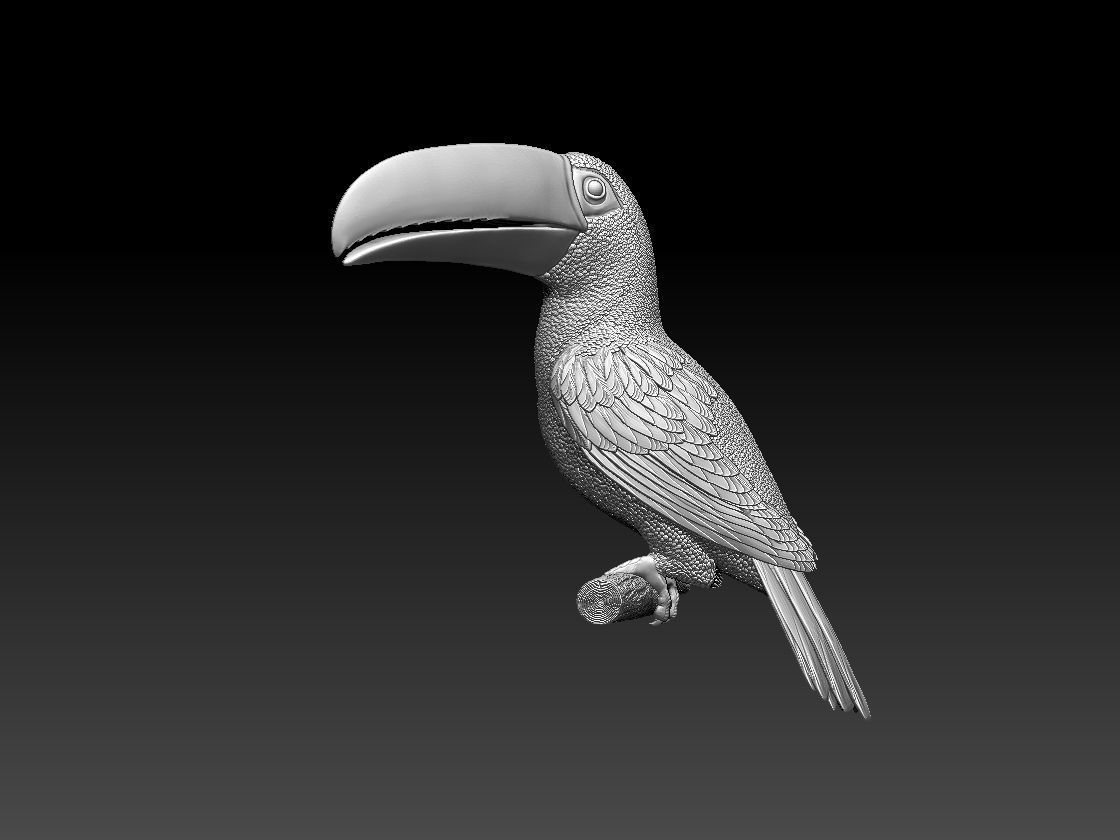 tucan toucan 3D print model_10
