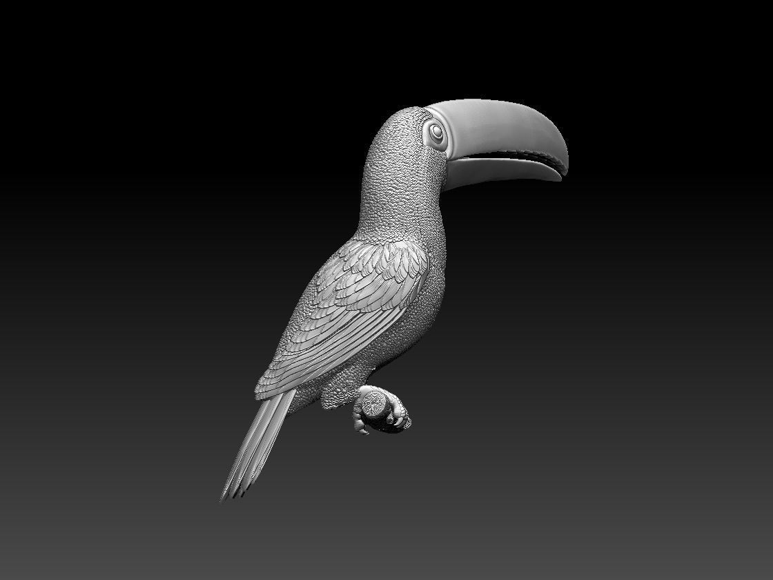 tucan toucan 3D print model_11
