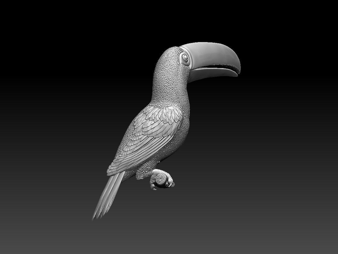 tucan toucan 3D print model_19