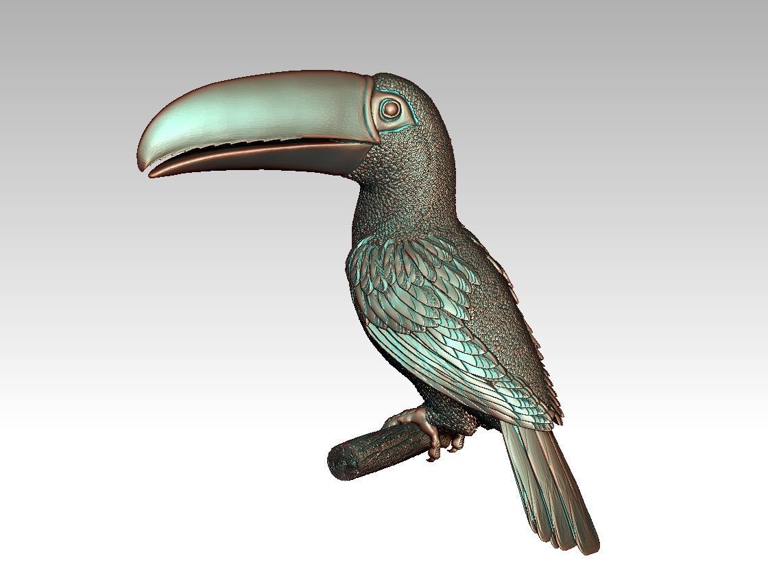 tucan toucan 3D print model_23