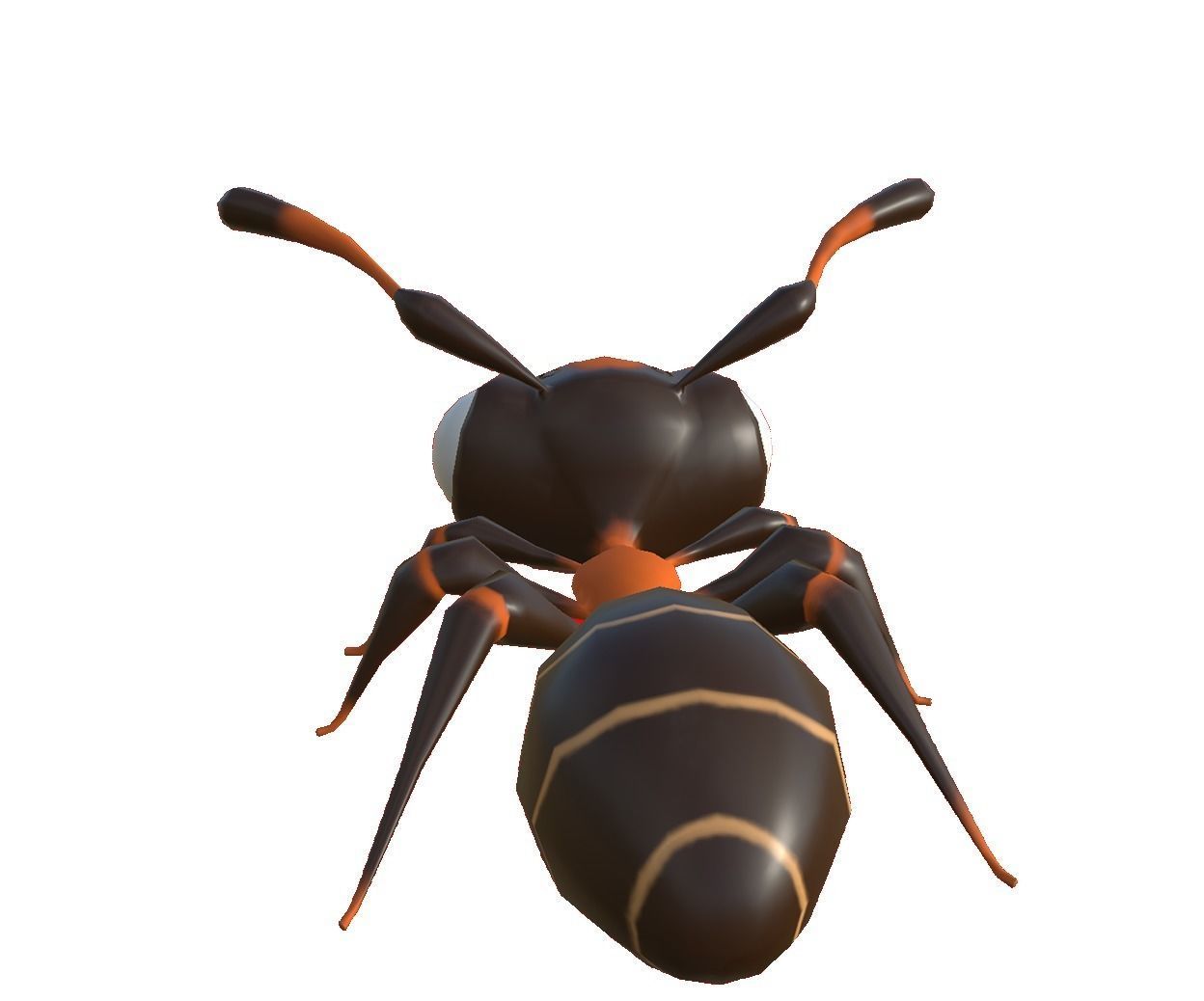 3D Ant disney Low-poly 3D model_12