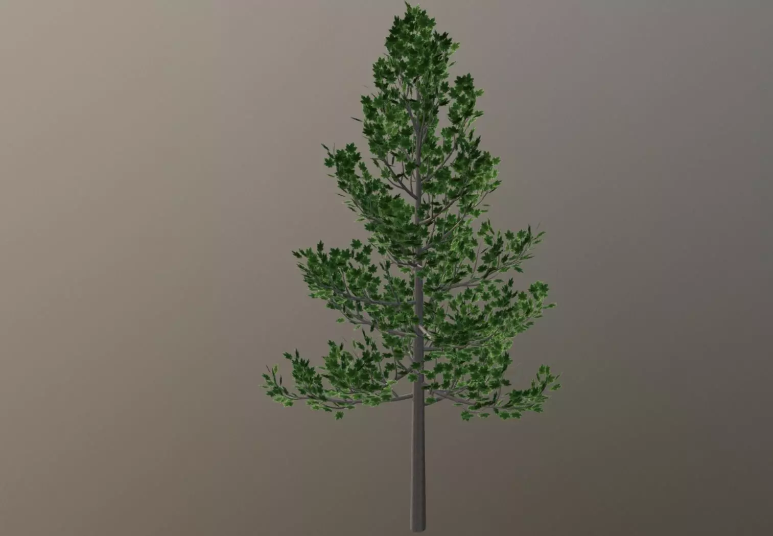 Maple Tree Free low-poly 3D model