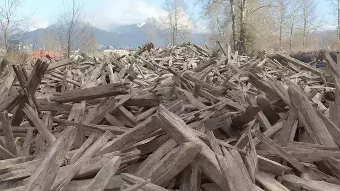 Pile of Wood - A