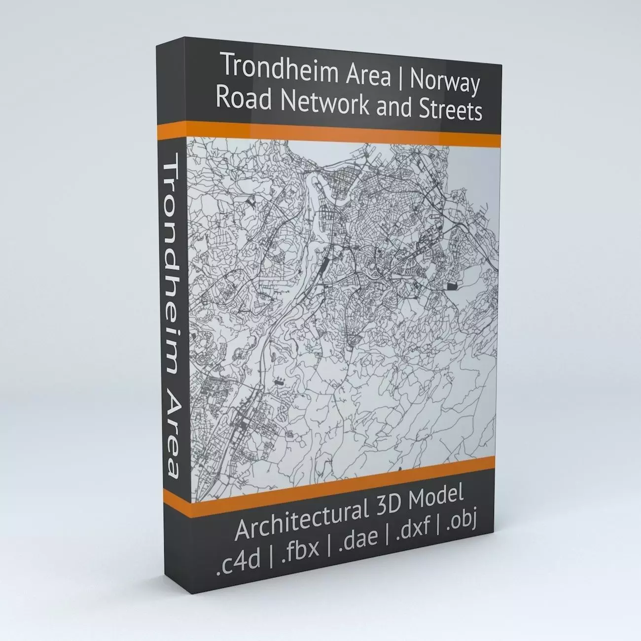 Trondheim Area Road Network and Streets 3D model_0