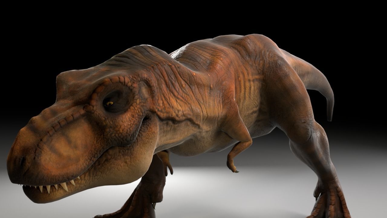 Jurassic Park Tyrannosaurus Rex 3D Model  Low-poly 3D model_4