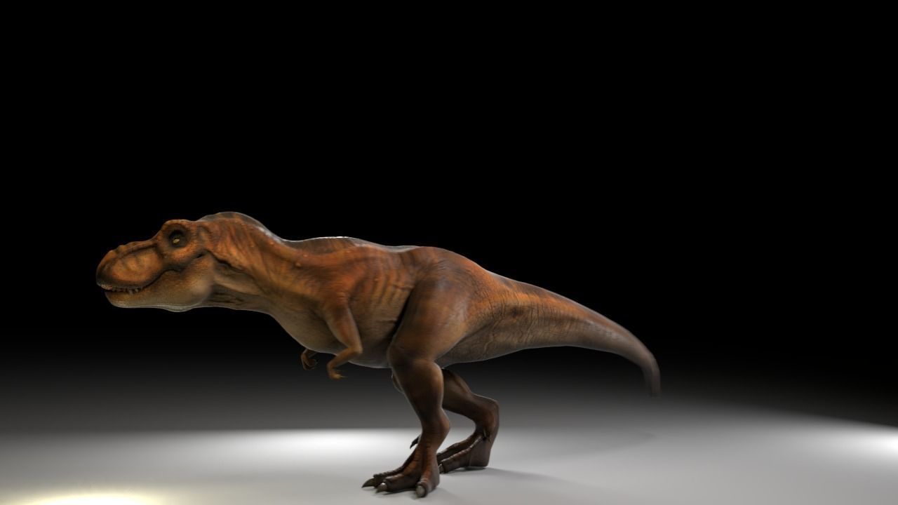 Jurassic Park Tyrannosaurus Rex 3D Model  Low-poly 3D model_9