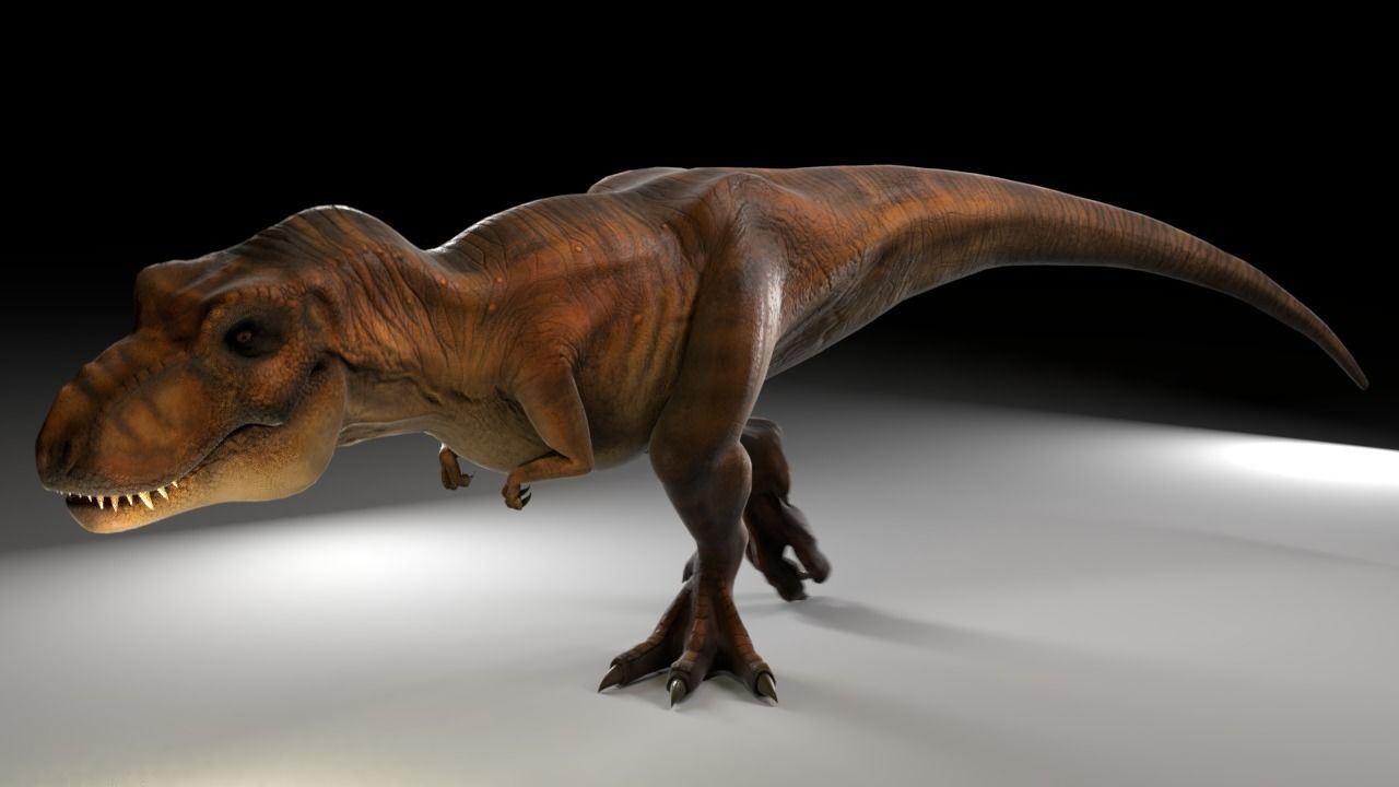 Jurassic Park Tyrannosaurus Rex 3D Model  Low-poly 3D model_6