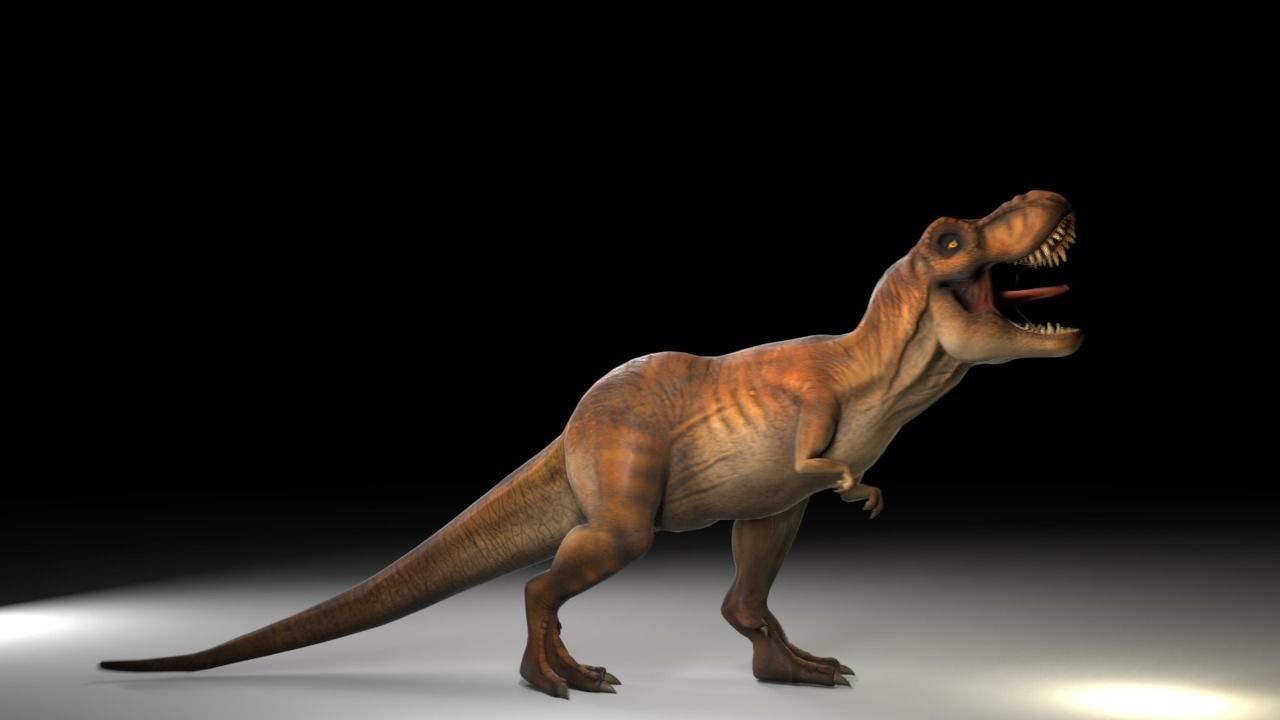 Jurassic Park Tyrannosaurus Rex 3D Model  Low-poly 3D model_10