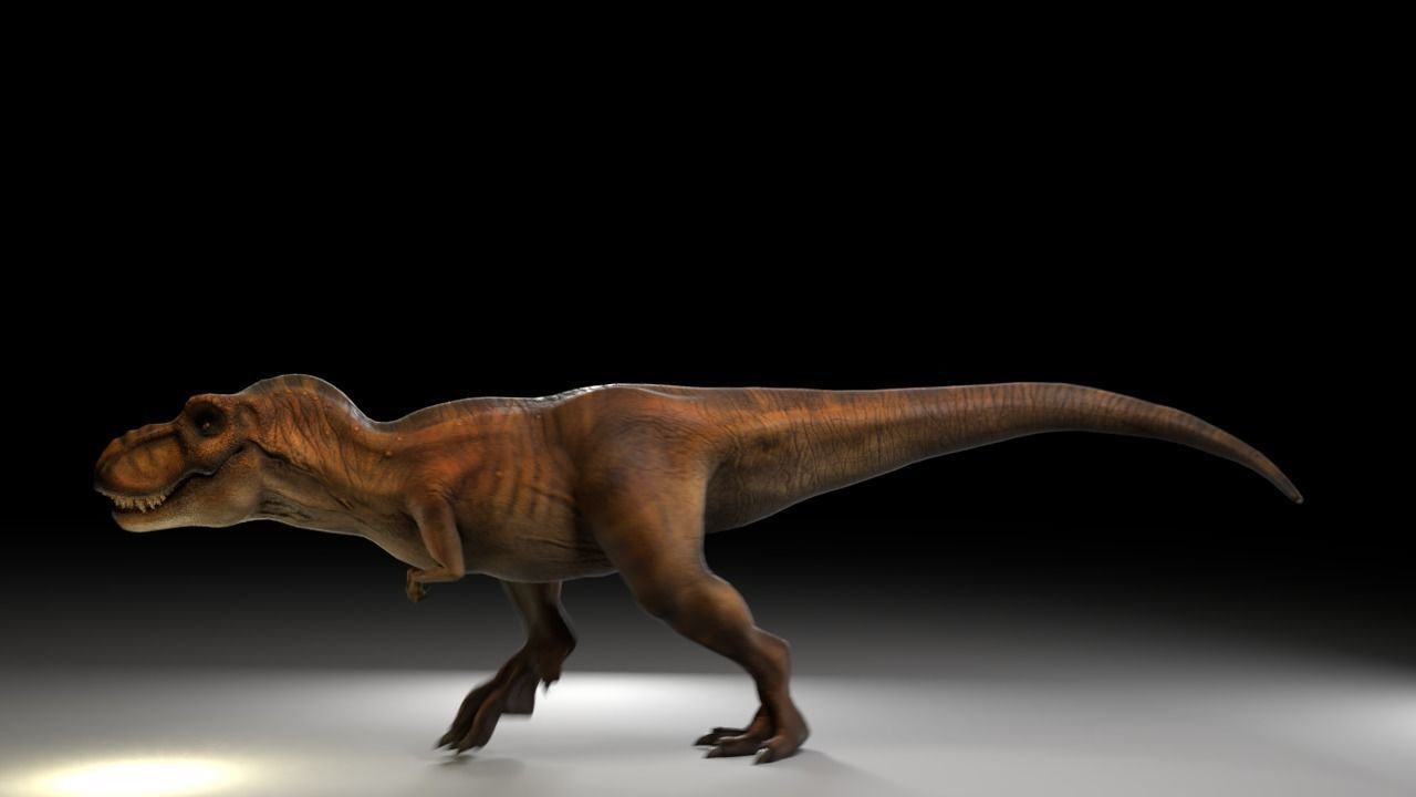 Jurassic Park Tyrannosaurus Rex 3D Model  Low-poly 3D model_8