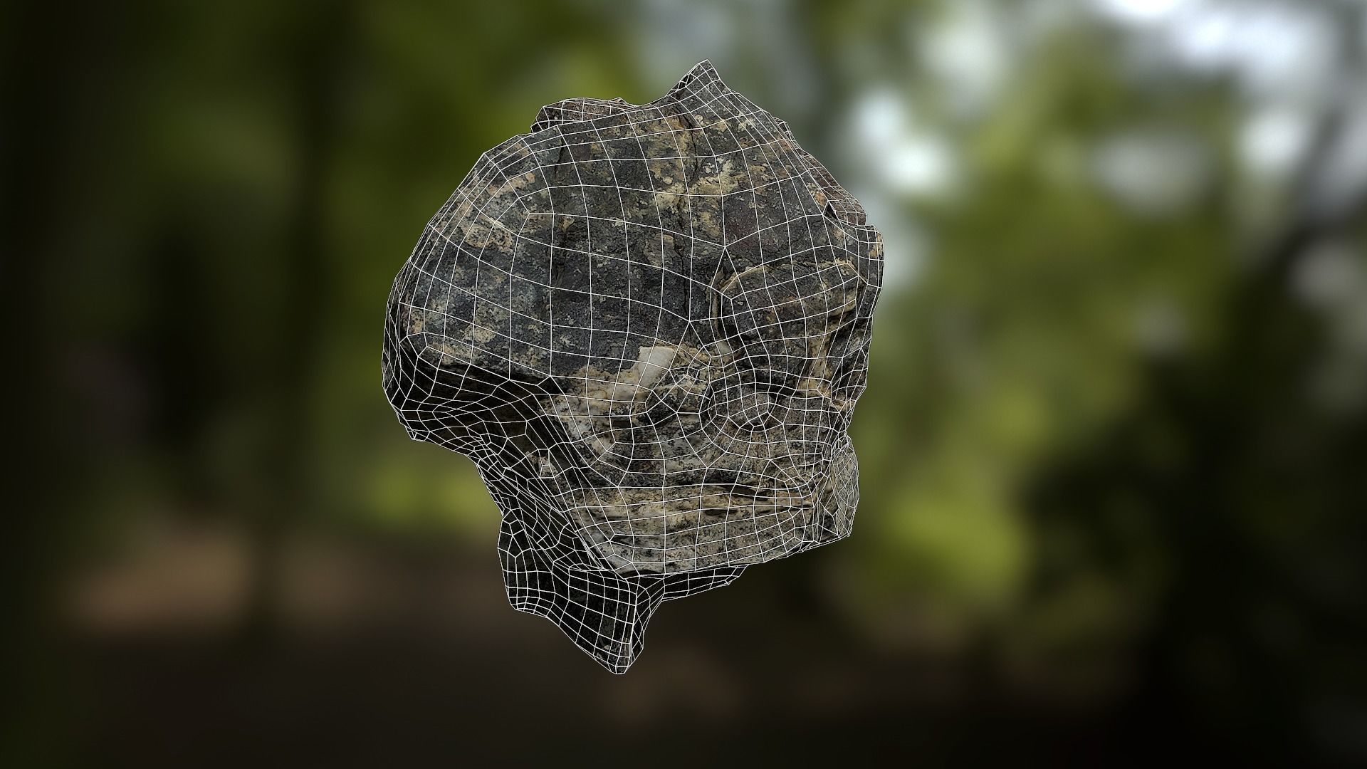 Rock low poly 3D model in forest Low-poly 3D model_14