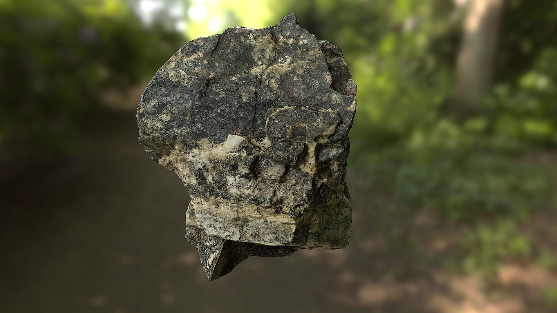 Rock low poly 3D model in forest Low-poly 3D model_5